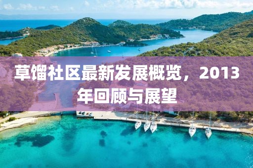 草馏社区最新发展概览，2013年回顾与展望