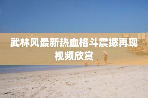 武林风最新热血格斗震撼再现视频欣赏