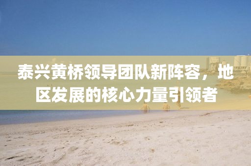 泰兴黄桥领导团队新阵容，地区发展的核心力量引领者