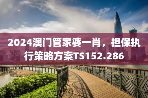 2024澳门管家婆一肖，担保执行策略方案TS152.286