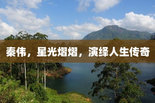 秦伟，星光熠熠，演绎人生传奇