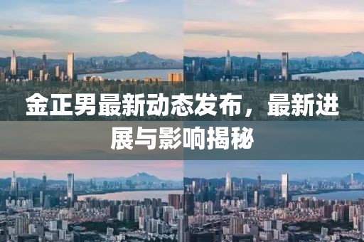 金正男最新动态发布，最新进展与影响揭秘