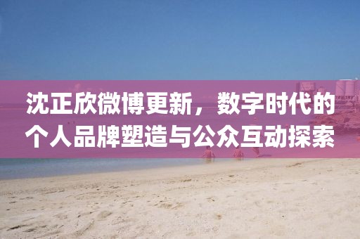 沈正欣微博更新，数字时代的个人品牌塑造与公众互动探索