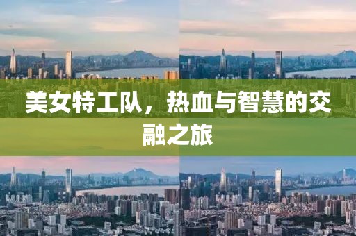 美女特工队，热血与智慧的交融之旅