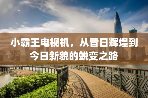 小霸王电视机，从昔日辉煌到今日新貌的蜕变之路