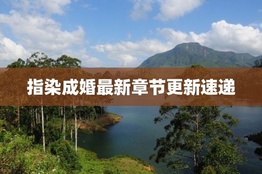 指染成婚最新章节更新速递