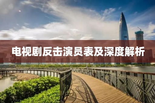 电视剧反击演员表及深度解析