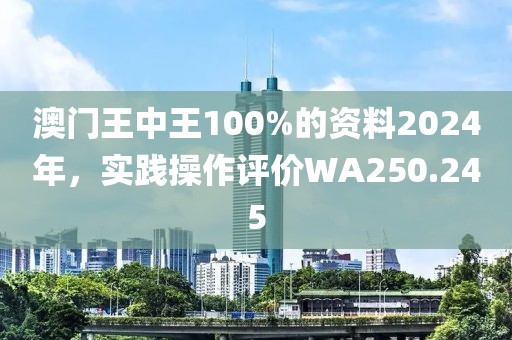澳门王中王100%的资料2024年，实践操作评价WA250.245
