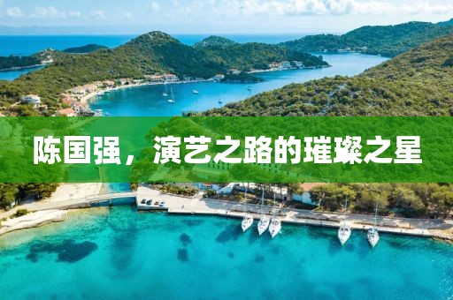 陈国强，演艺之路的璀璨之星