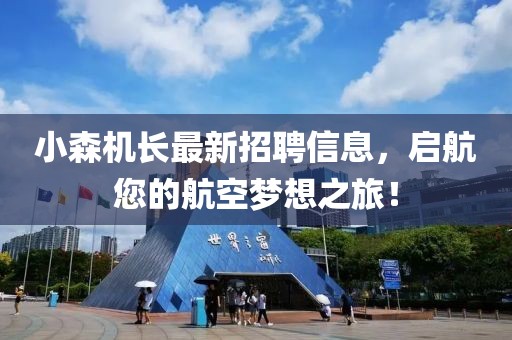 小森机长最新招聘信息，启航您的航空梦想之旅！