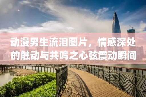 动漫男生流泪图片，情感深处的触动与共鸣之心弦震动瞬间
