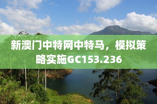 新澳门中特网中特马，模拟策略实施GC153.236