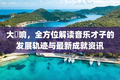 大槻响，全方位解读音乐才子的发展轨迹与最新成就资讯