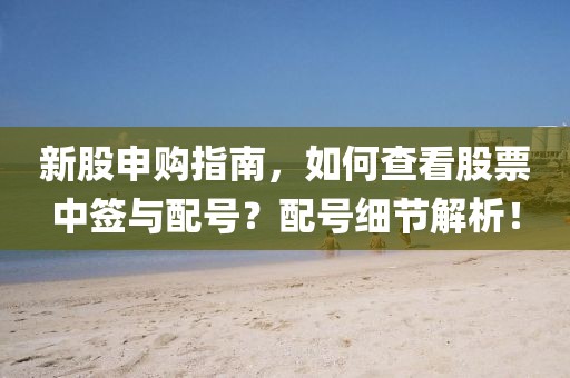 新股申购指南，如何查看股票中签与配号？配号细节解析！