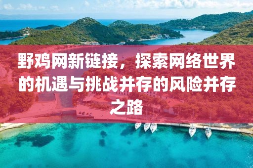 野鸡网新链接，探索网络世界的机遇与挑战并存的风险并存之路
