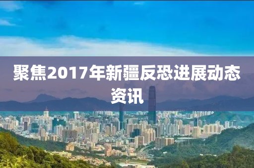 聚焦2017年新疆反恐进展动态资讯