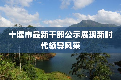 十堰市最新干部公示展现新时代领导风采