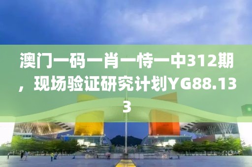 澳门一码一肖一恃一中312期，现场验证研究计划YG88.133