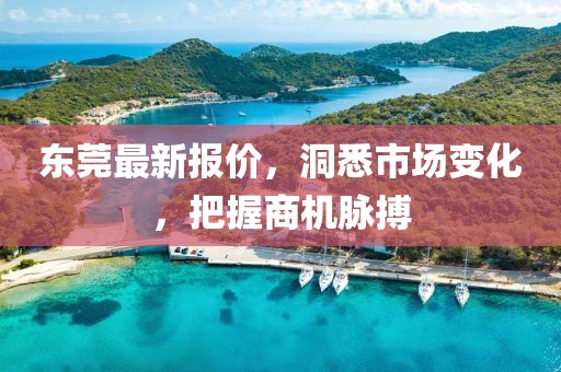东莞最新报价，洞悉市场变化，把握商机脉搏