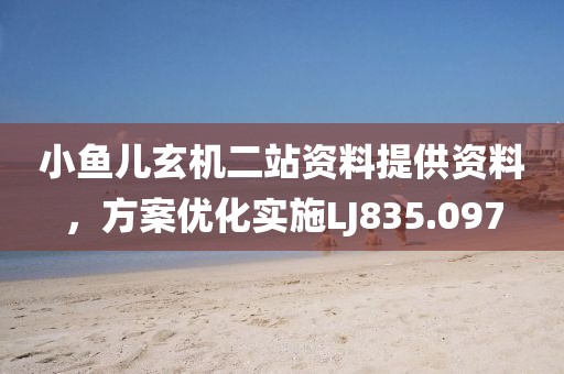 小鱼儿玄机二站资料提供资料，方案优化实施LJ835.097