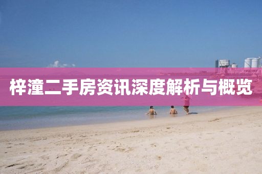 梓潼二手房资讯深度解析与概览