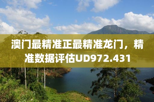 澳门最精准正最精准龙门，精准数据评估UD972.431