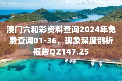 澳门六和彩资料查询2024年免费查询01-36，现象深度剖析报告QZ147.25