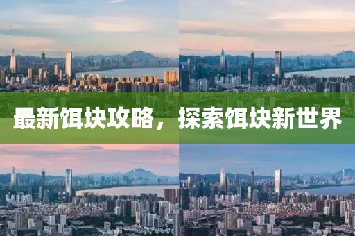 最新饵块攻略，探索饵块新世界