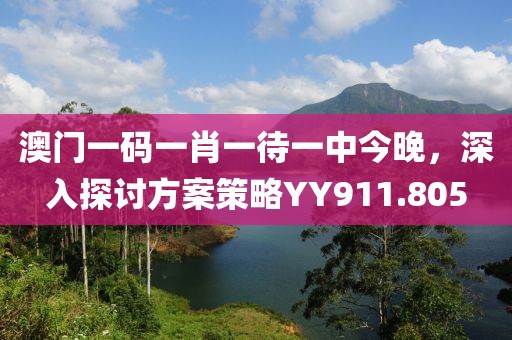 澳门一码一肖一待一中今晚，深入探讨方案策略YY911.805