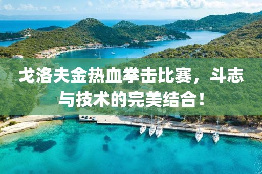 戈洛夫金热血拳击比赛，斗志与技术的完美结合！