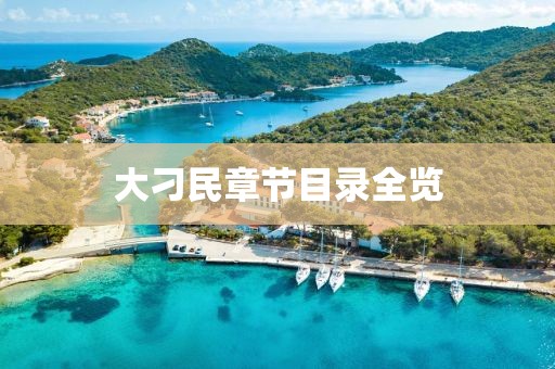 大刁民章节目录全览