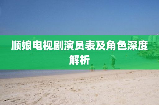顺娘电视剧演员表及角色深度解析