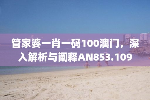 管家婆一肖一码100澳门，深入解析与阐释AN853.109