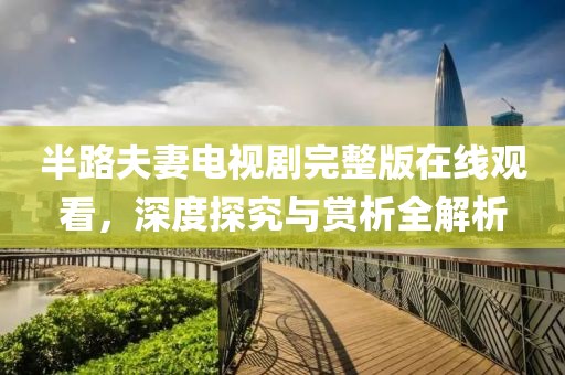 半路夫妻电视剧完整版在线观看，深度探究与赏析全解析