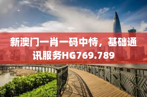 新澳门一肖一码中恃，基础通讯服务HG769.789