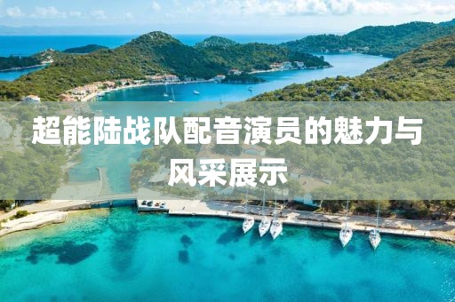 超能陆战队配音演员的魅力与风采展示