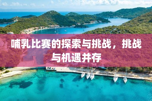 哺乳比赛的探索与挑战，挑战与机遇并存