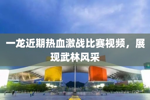 一龙近期热血激战比赛视频，展现武林风采