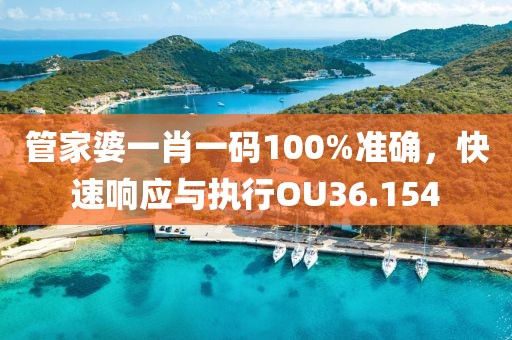 管家婆一肖一码100%准确，快速响应与执行OU36.154
