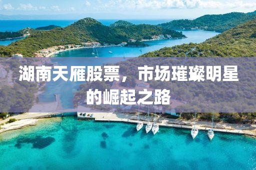 湖南天雁股票，市场璀璨明星的崛起之路