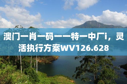 澳门一肖一码一一特一中厂i，灵活执行方案WV126.628