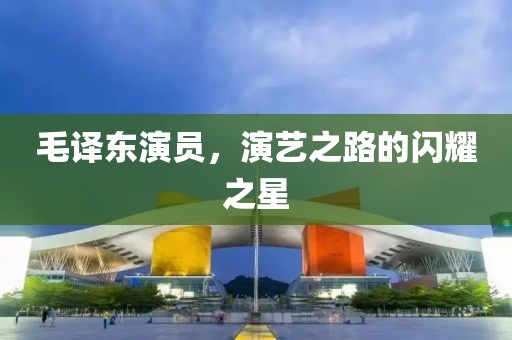 毛译东演员，演艺之路的闪耀之星