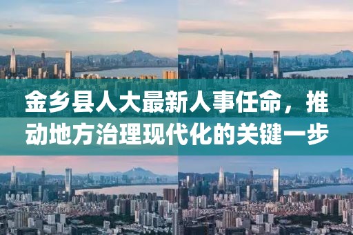 金乡县人大最新人事任命，推动地方治理现代化的关键一步