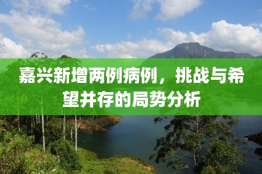 嘉兴新增两例病例，挑战与希望并存的局势分析