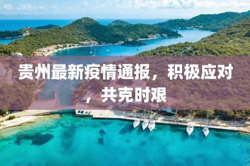 贵州最新疫情通报，积极应对，共克时艰