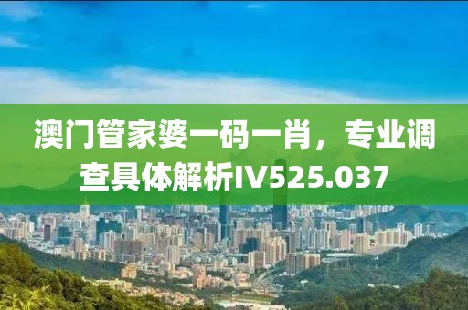 澳门管家婆一码一肖，专业调查具体解析IV525.037