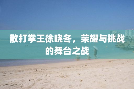 散打拳王徐晓冬，荣耀与挑战的舞台之战