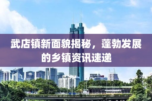 武店镇新面貌揭秘，蓬勃发展的乡镇资讯速递