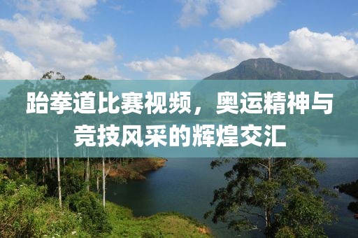 跆拳道比赛视频，奥运精神与竞技风采的辉煌交汇
