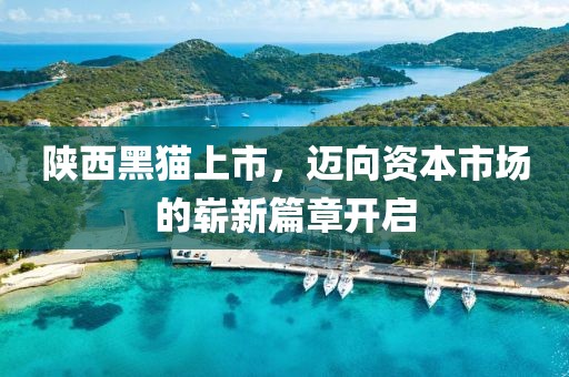 陕西黑猫上市，迈向资本市场的崭新篇章开启